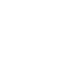 management (1)